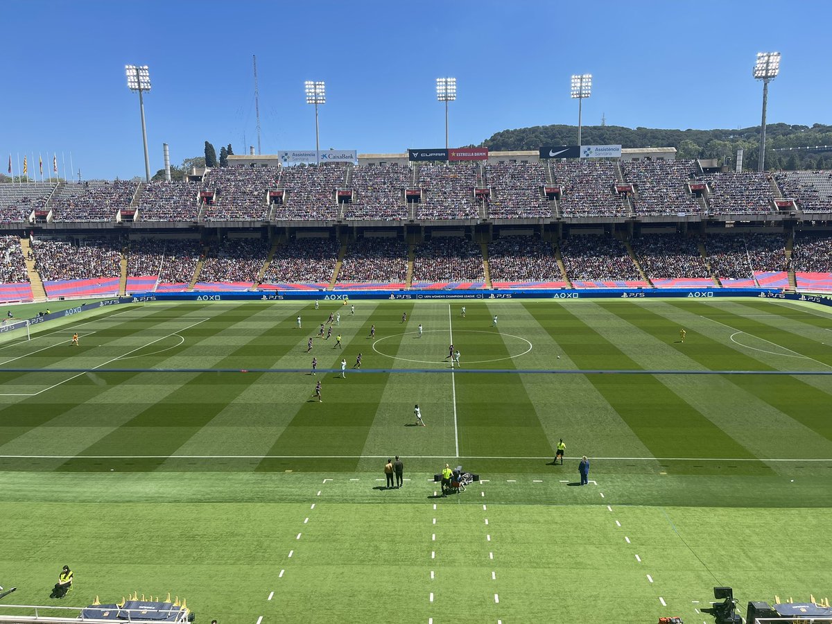 Imma Cervos tweet media