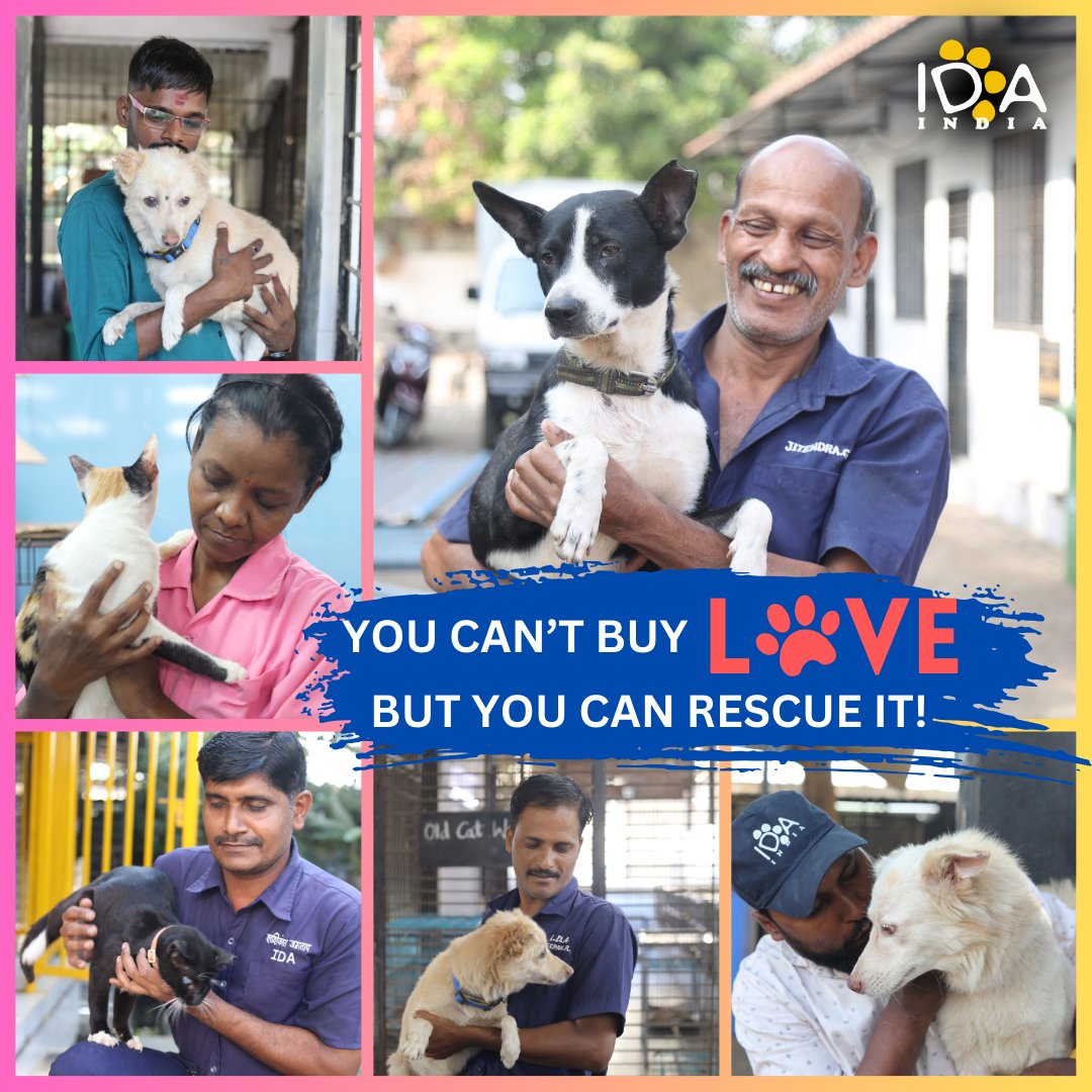 Discover the joy of adopting a furry friend! 🌟 Skip the shop and start a story of love and companionship by calling IDA India at 9320056588. Make a loving difference in your life and theirs! 🐕💖 #JoyOfAdopting #AdoptDontShop #IDAIndia #animalwelfare #animalprotection