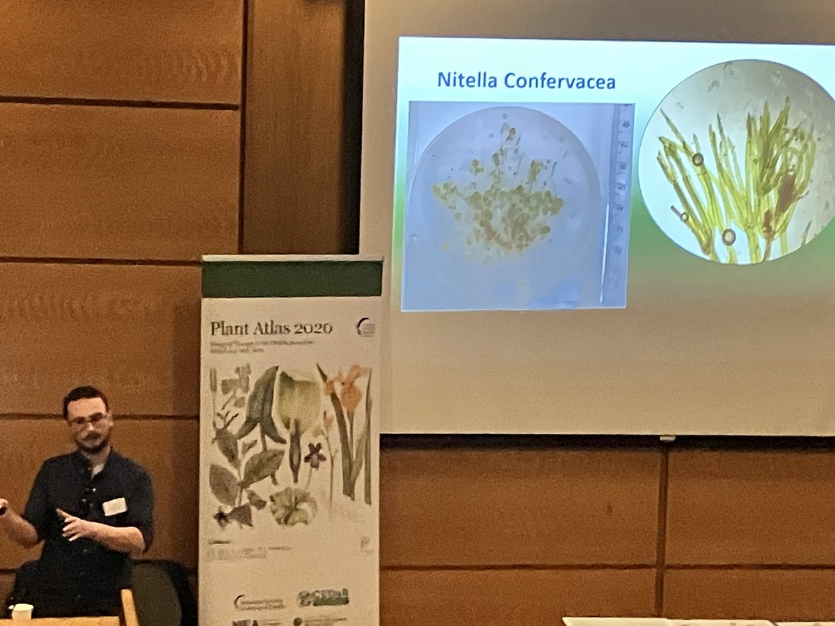 Fascinating talk by @KeenaPhilip from @MfrcATU using underwater drones to survey for aquatic plants & finding rare charophytes w/Cillian Roden in Connemara. #BSBISpringConference
