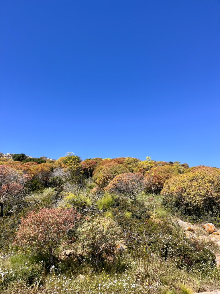 Parco nazionale dell’Asinara. 
#20Aprile