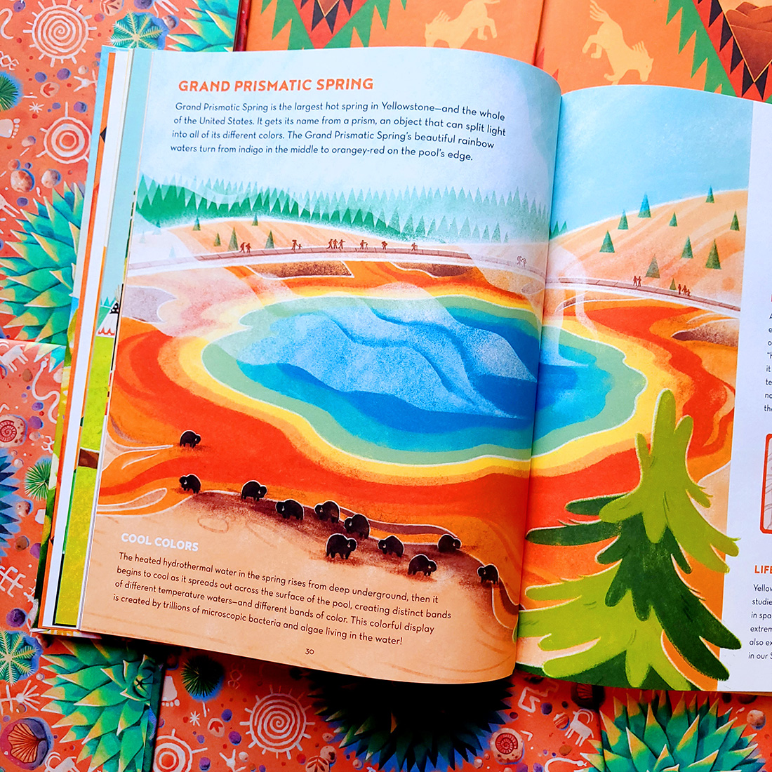 🐻 It's #NationalParkWeek! 📗 Earth’s Incredible Places: #Yellowstone by Catherine Ard, Bianca Austria: flyingeyebooks.com/book/yellowsto… A captivating illustrated introduction to Yellowstone, the world’s oldest national park and one of the most intact ecosystems on the planet.