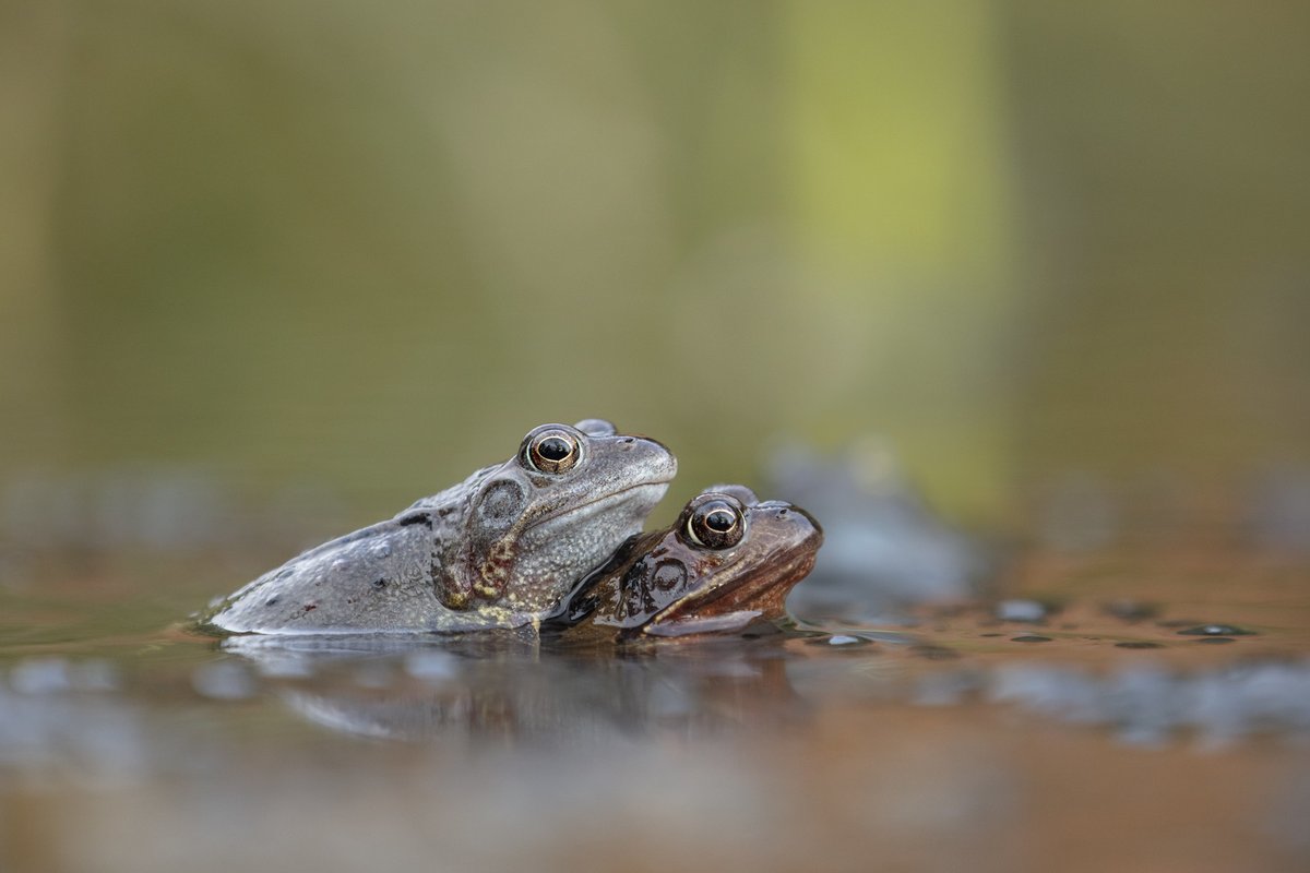 Daniel Trim tweet media