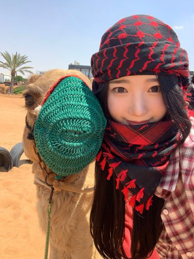 have u ever heard of an idol taking a selca with a camel in the middle east