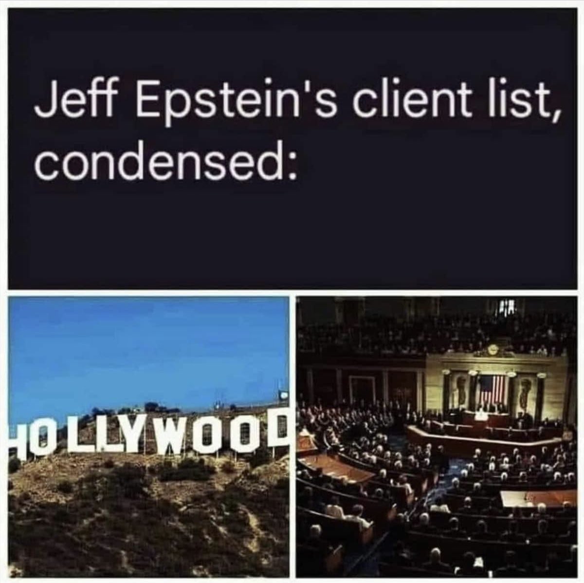 Did I hit the nail on the head? Would you add any groups to Epstein’s client list?