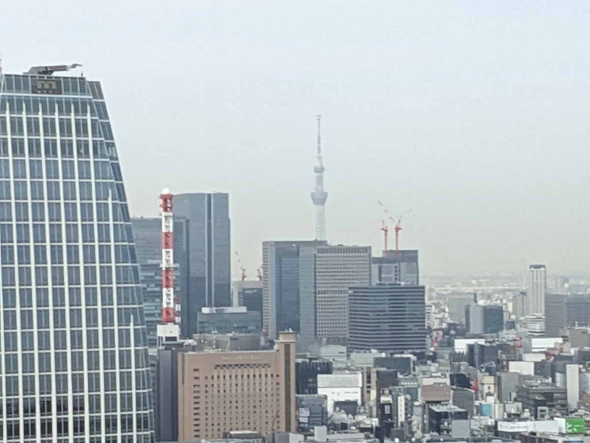 0606d89's tweet photo. 今日は見て満足だった東京タワー登って来た。高さがインフレしてて高所に居る感覚は無かったですがゴジラが壊した名所なので色々興奮しましたwww
だけど外人と家族とカップルの中に野郎が1人混じってる居た堪れない感じが凄かったので自分もそっち側になったらまた行きます。 https://t.co/bPaHHGk9FF