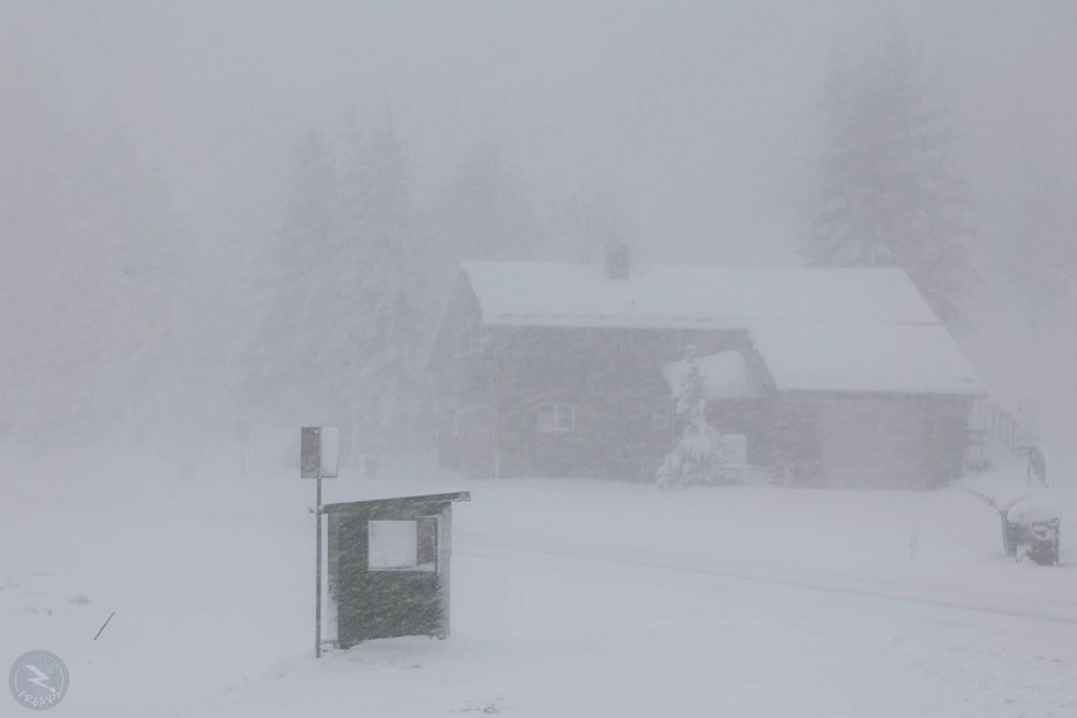 Tiefster Winter in Lagen über 700m heute Vormittag im Bayerischen Wald. Es kommt teilweise zu Schneebruch durch den sehr nassen und schweren #Schnee