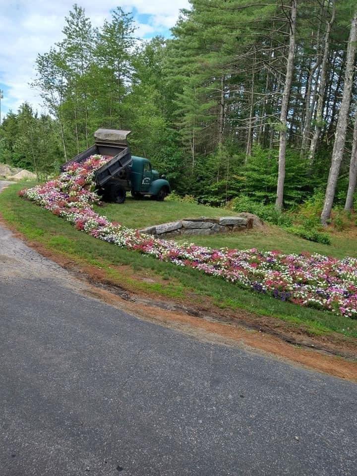 Wow, what a great use of an old truck! 📷 Pinterest