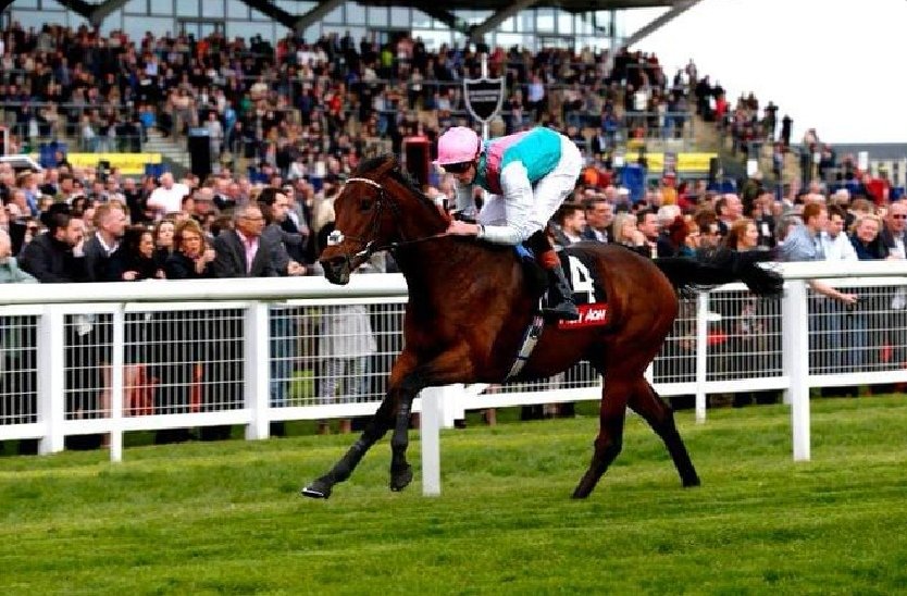 In 2014, John Gosden chose the Greenham Stakes for the reappearance of his unbeaten colt, Kingman. Travelling supremely well, the son of Invincible Spirit quickened clear of subsequent 2000 Guineas winner Night of Thunder to record a most impressive 4 1/2 length victory.