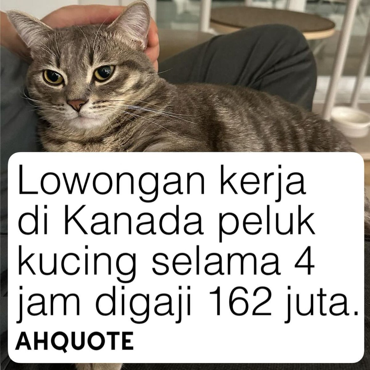 KucengTerbanggg's tweet photo. Info tutor cari paspor Kanada? https://t.co/x0WsUorQ60