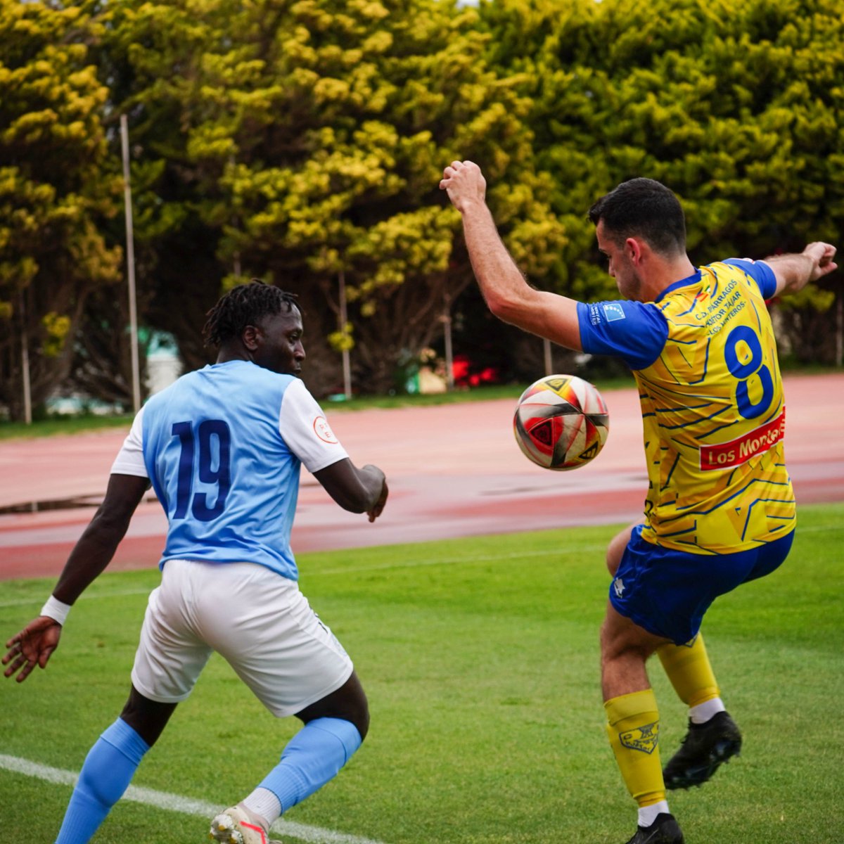 Polideportivo El Ejido tweet media