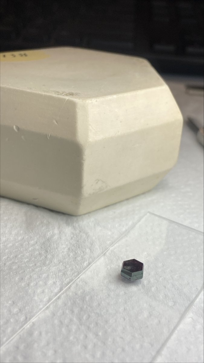 Prajna Bhatt tweet media