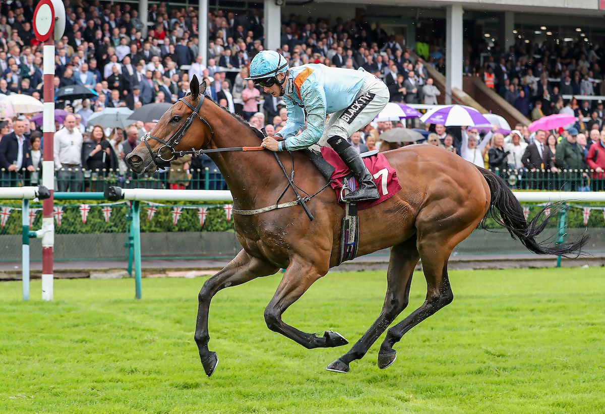 YESSS, COLD STARE!
What a wonderful horse he is - winning for the 9th time and as a 9-year-old. He still has it!
Well done to his owners and thank you <a href="/omeararacing/">David O'Meara</a> <a href="/DavidNo45583497/">David Nolan</a>  we are all delighted.
He is winner 24 of the year for #TeamMPR