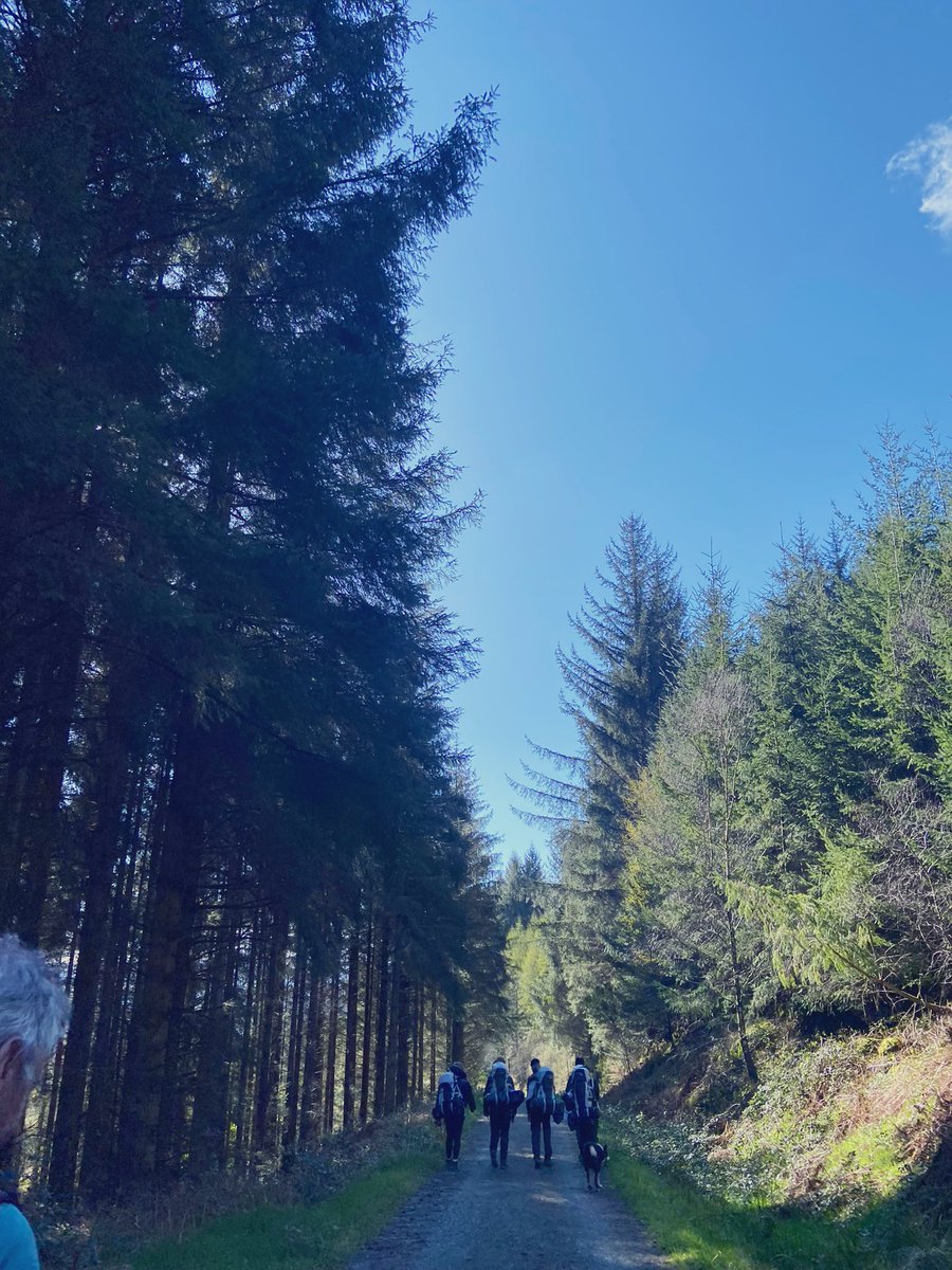 Silver practice with Fir Park HS through Trossachs 🌲🥾🏕️ @Nevis4 @NLCYouthwork @DofEScotland @gillianCLD @SOECDounans @DofE #DofE #Silver #DofE #YouthWithoutLimits