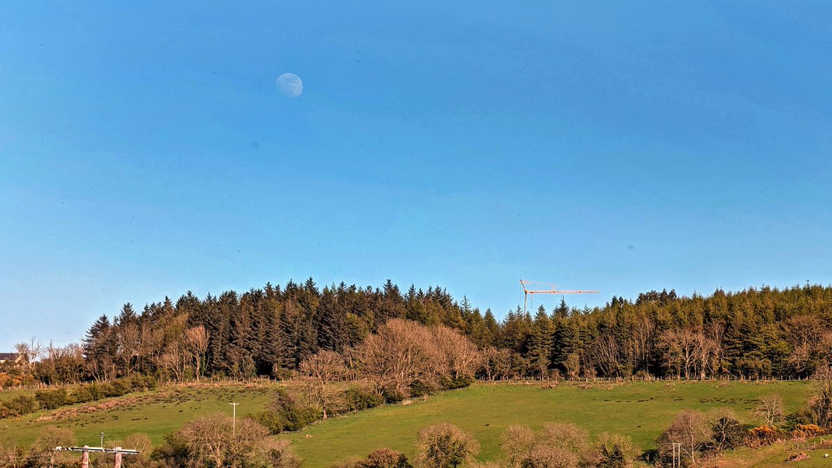 The moon rising over Ballycastle Forest #Moon #Ballycastle @bbcweather @deric_tv #VMWeather @DiscoverNI @LoveBallymena @WeatherCee  @angie_weather @Louise_utv  @WeatherAisling @barrabest @Ailser99 @nigelmillen @EventsCauseway @carolkirkwood   @Schafernaker