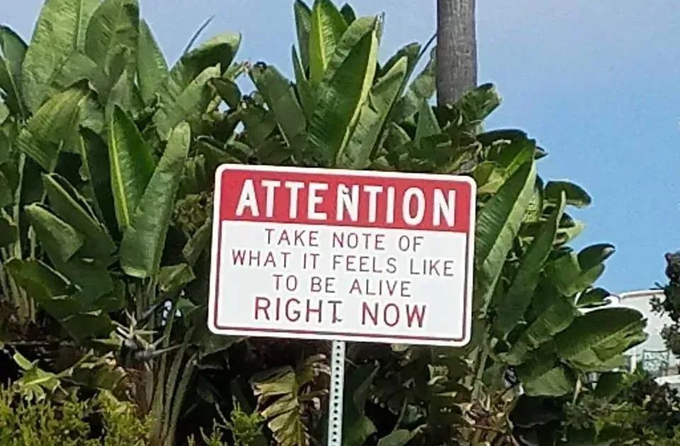 DeborahDian's tweet photo. Have you ever wondered how long you can expect to live? It depends on many factors, including where you live! Read more in this post from Baby-Boomer-Retirement. com.
https://t.co/6WhIitVCbr
#LONGEVITY #lifespan #aging #agingbody #aginggracefully https://t.co/PK4kG1p6lK