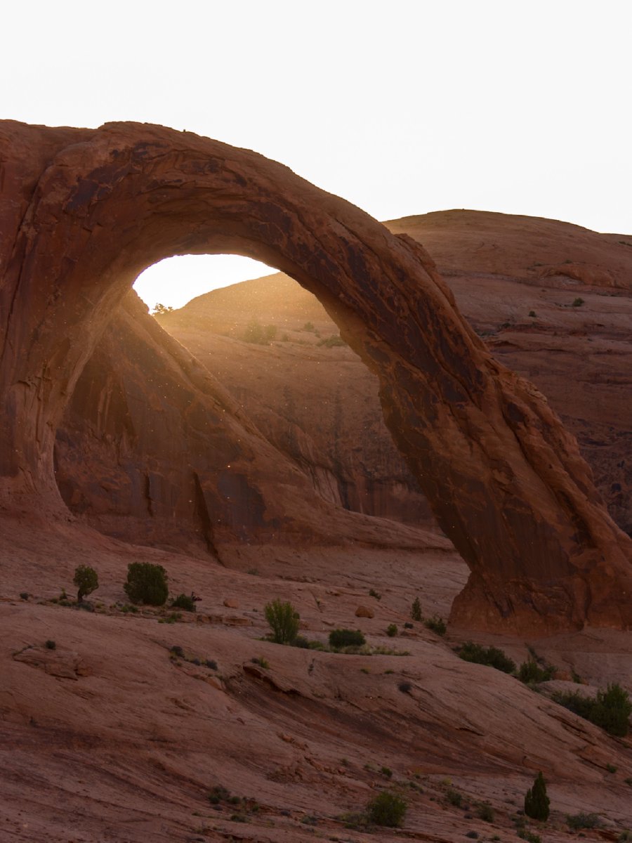 Natural arches like the Double Arch in Arches National Park, UT, were once part of a prehistoric sea. Formed when salt from the salt-rock buried under the red sandstone rises, creating pockets of soft rock that easily erode and leave behind the more resistant sandstone.
