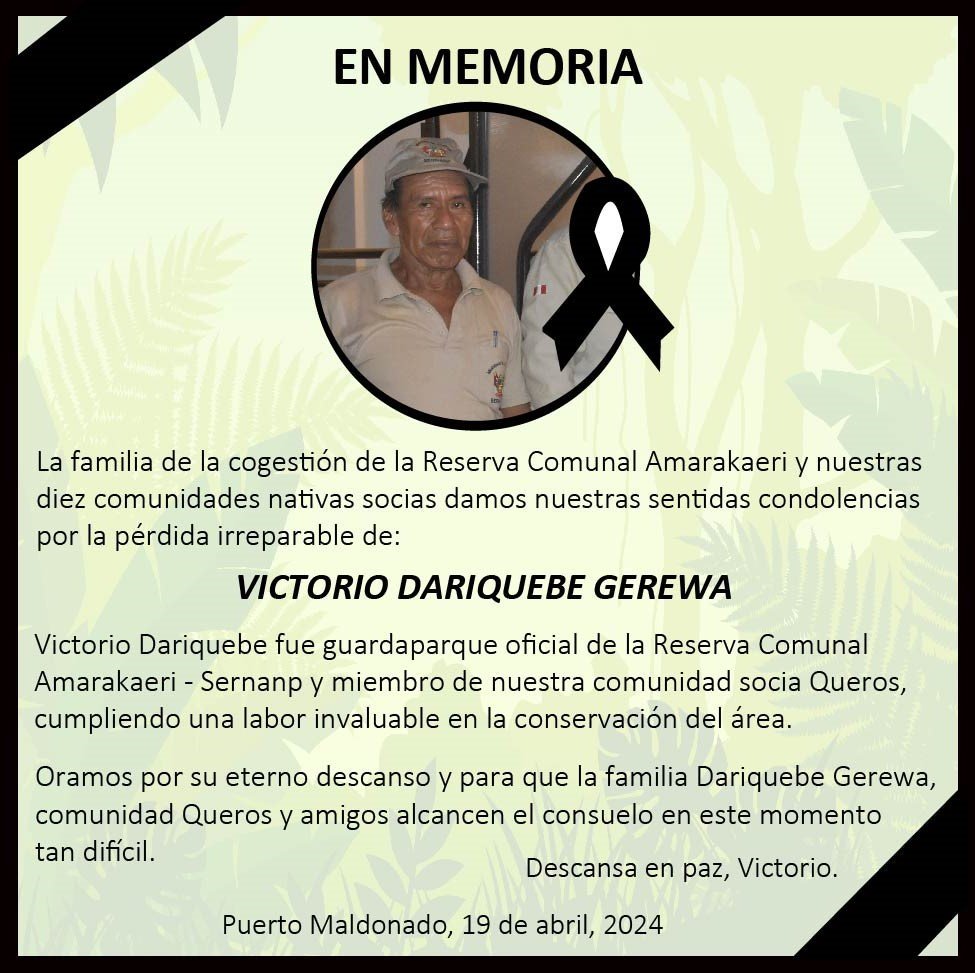 🇵🇪 Asesinan a Victorio Dariquebe, defensor ambiental y guardaparque de la Reserva Comunal Amarakaeri 🏞️