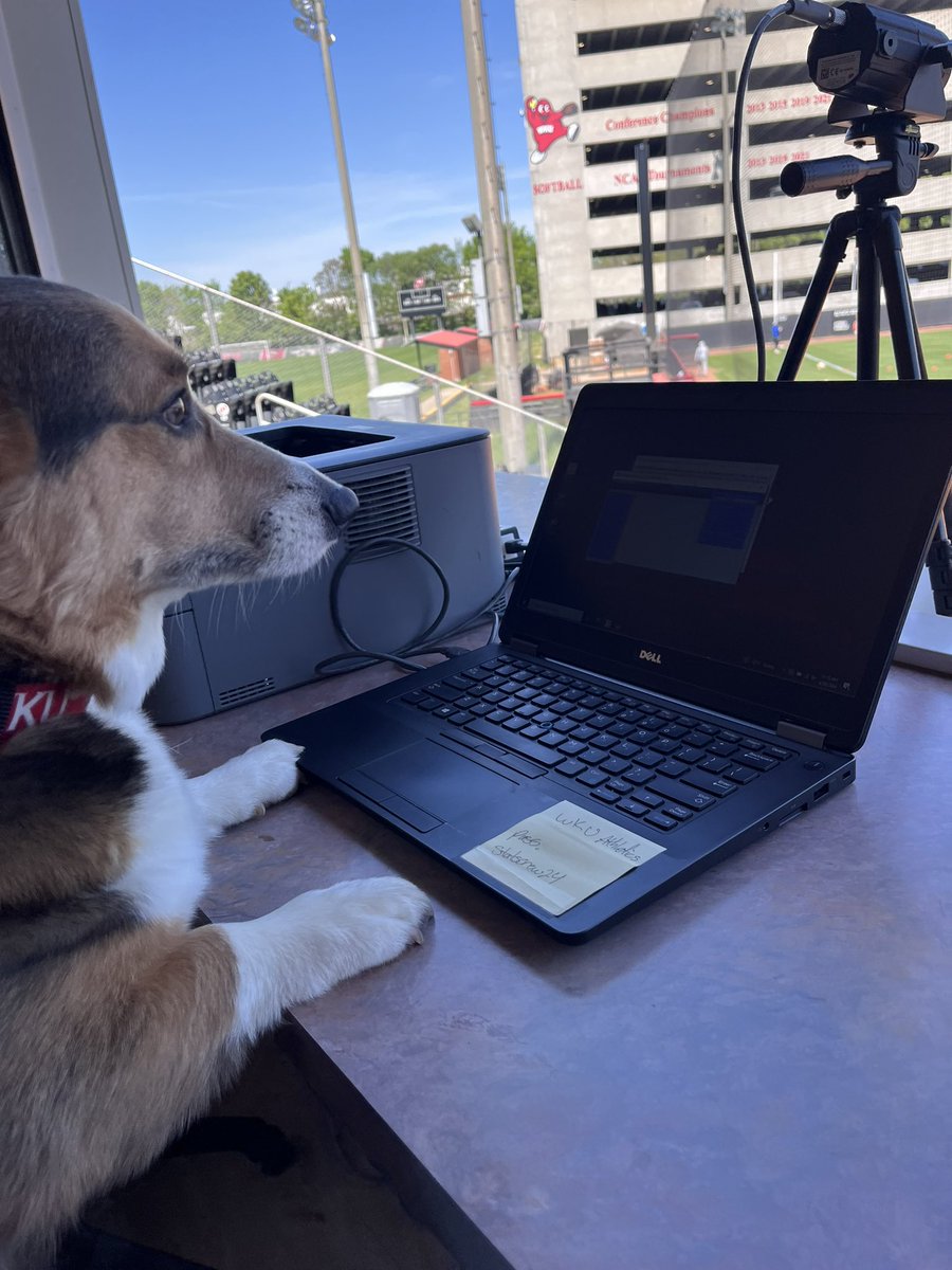 CassieBuchholz's tweet photo. Sorry, training the new guy on stats for Bark in the Park. 

No promises if he takes a peanut butter break in the second inning. https://t.co/wZGIaiEIIo