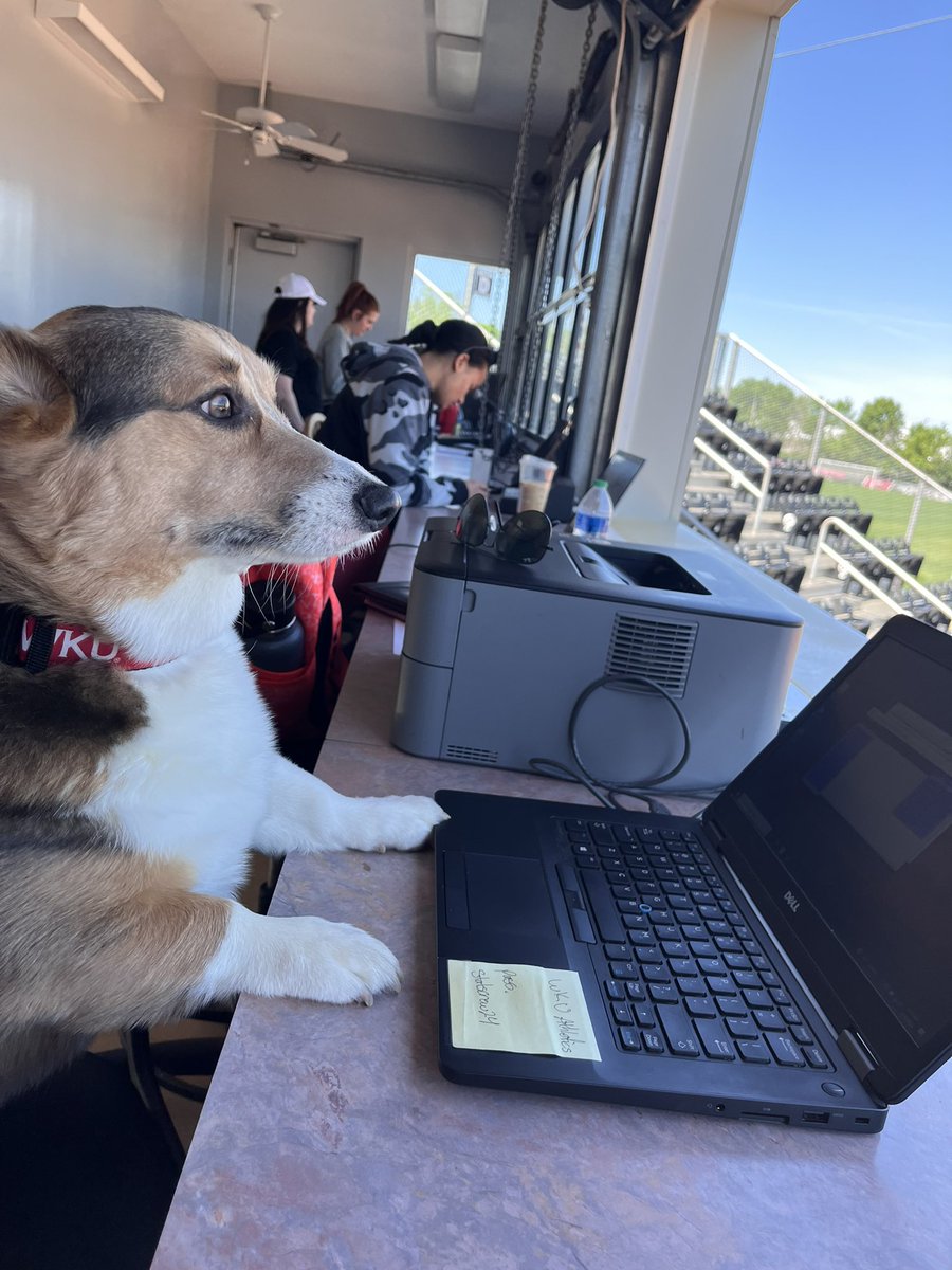 CassieBuchholz's tweet photo. Sorry, training the new guy on stats for Bark in the Park. 

No promises if he takes a peanut butter break in the second inning. https://t.co/wZGIaiEIIo