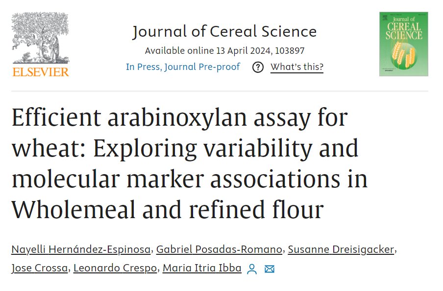 Check out our new article on PentoQuant, an efficient method we are using @CIMMYT to evaluate arabinoxylan content in our wheat lines: doi.org/10.1016/j.jcs.…. Thanks so much to all who have contributed to this work and especially Nayelli Hernandez-Espinosa for all her hard work!