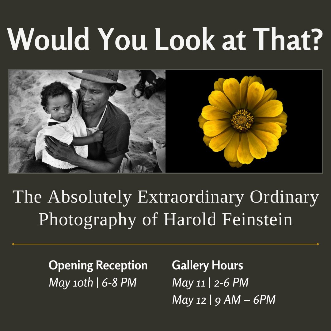GreenAcreBahai's tweet photo. The Absolutely Extraordinary Ordinary Photography of Harold Feinstein. Opening Reception, May 10th | 6-8 PM https://t.co/sNaOCzAxtI #HaroldFeinstein #Photography #Photographer #FineArtPhotography #PhotoExhibit #ConeyIsland #FlowerPhotography #AnalogPhotography #Scanography https://t.co/ILgIvXlVHN