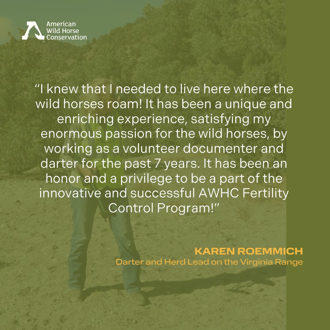 Happy #VolunteerRecognitionDay! AWHC volunteers are exposing the BLM’s inhumane program through investigations, building relationships with lawmakers, and heading deep into wild horse country to help us implement our fertility control program.