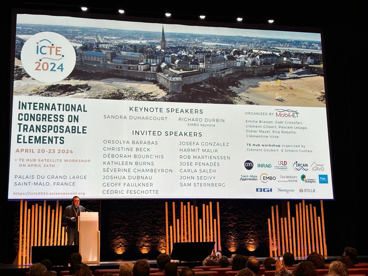 It started!!! #icte2024