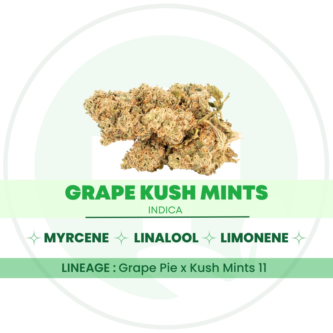 🚨NEW STRAIN🚨 

Grape Kush Mints

Myrcene 🥭, Linalool 🌸, Limonene 🍋
#pureohiowellness #columbus #dayton #ohio #ohiomade