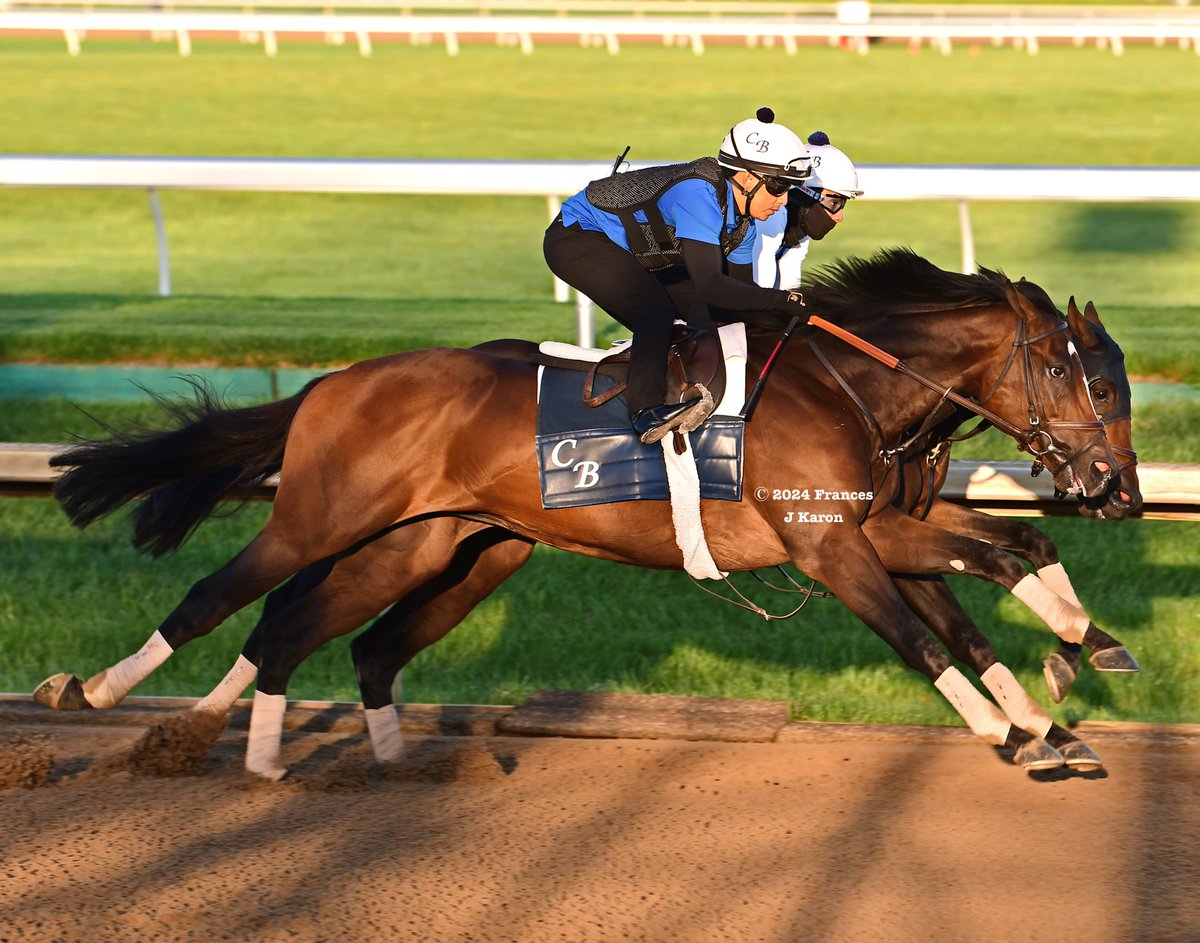 Frances J Karon tweet media