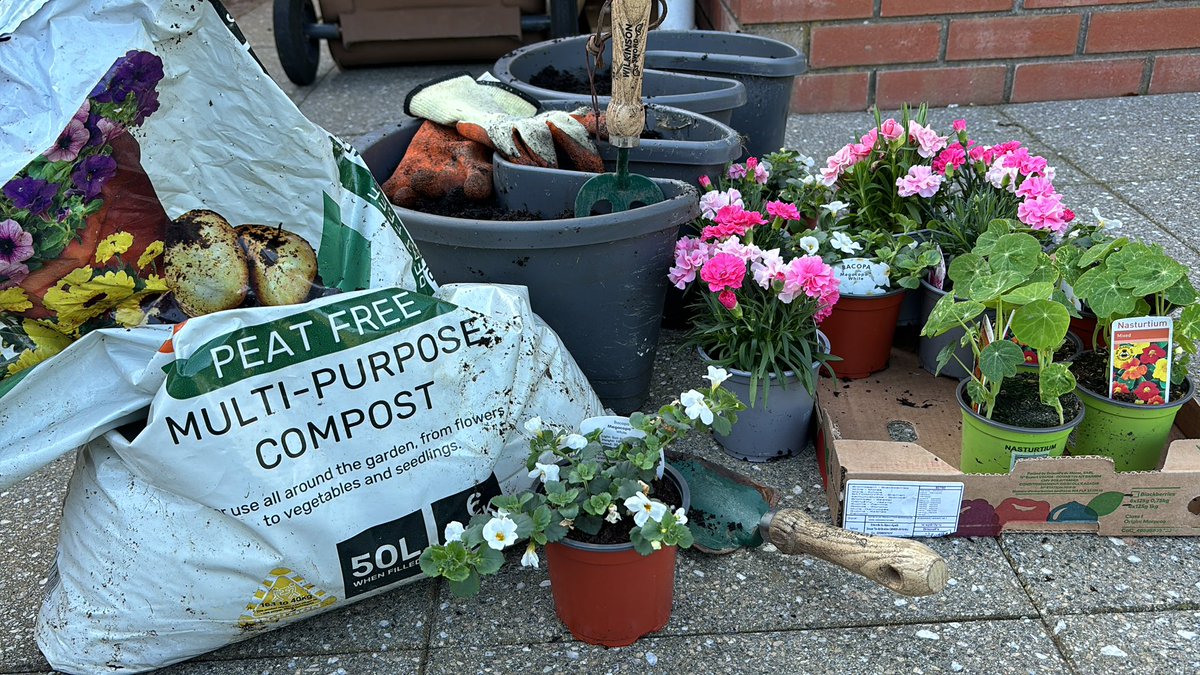 If you are planting up some containers in this fine weather be sure to ask your garden centre for #peatfree #compost.
#spring #gardening 
@UlsterWildlife @TheMontyDon