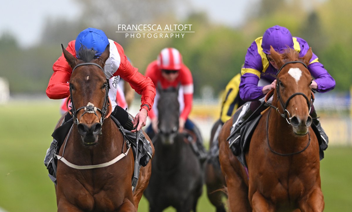 Nice to pop to Newbury for a few races today with absolutely zero pressure for once...

📸 Esquire and Danny Tudhope win the Greenham