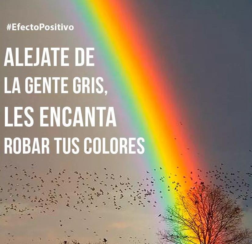Antonio Esquinca tweet media