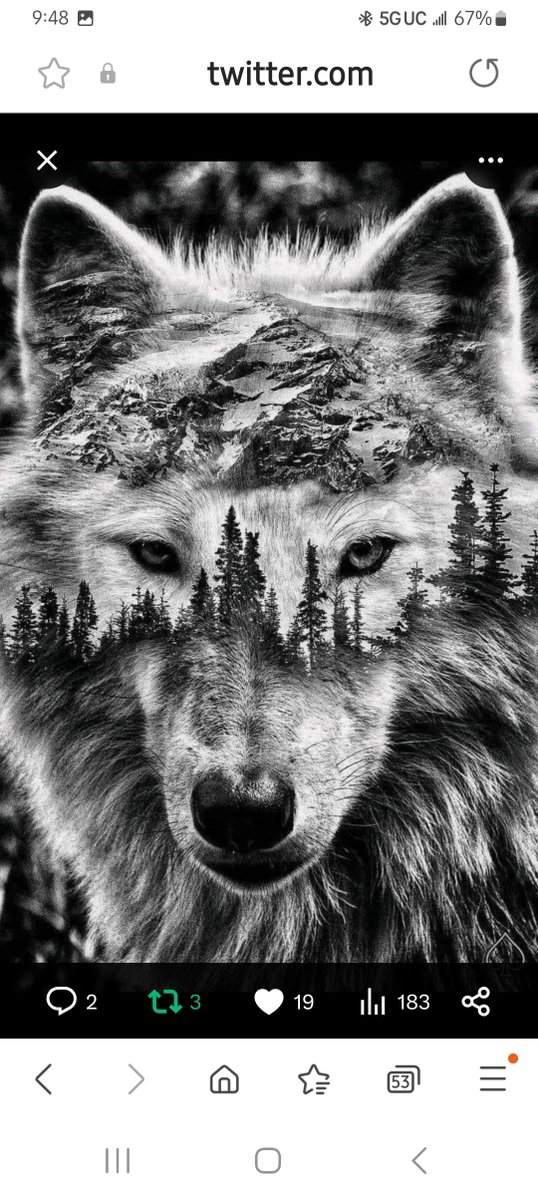 @JohnWolf1239 I NEVER KNEW THAT ABOUT WOLVES.... THANQ FOR ALL... NECK ... JUST FIGURED OUT ... BEANIE FROM... ' BOY' SCOUT CAMPING ....