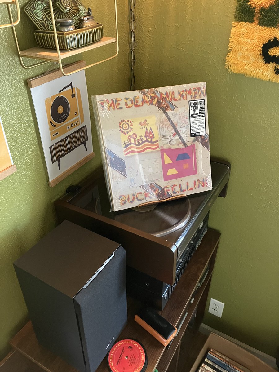 Fyrnackner 🌴 tweet media