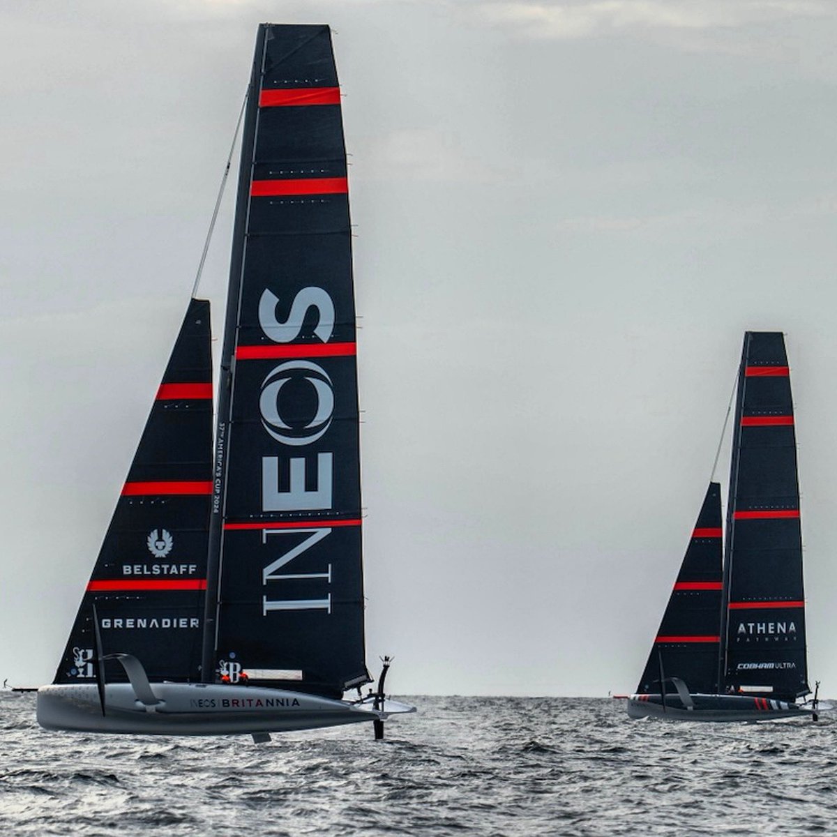 BonViveurMag's tweet photo. The America’s Cup will be held in Barcelona this year, with the 37th match starting on the 12th of October until the 27th of October. #BonViveurExperience #TheAmericasCup https://t.co/hDuUJW8mPd