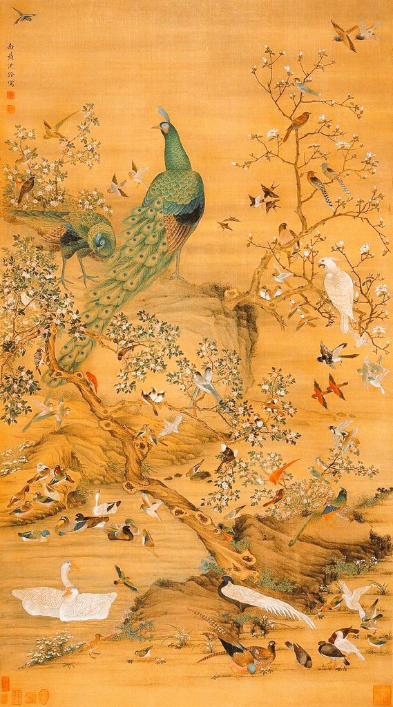 'Peacock and birds' by #Shen Quan (1682-1760) / Qing Dynasty/ Qianlong period/ chinese #fineart