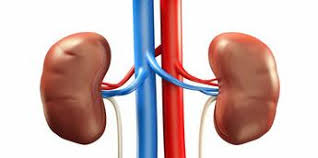 Dr. Apenteng writes: All you need to know about kidney disease and health consequences bit.ly/4b3Yncx
