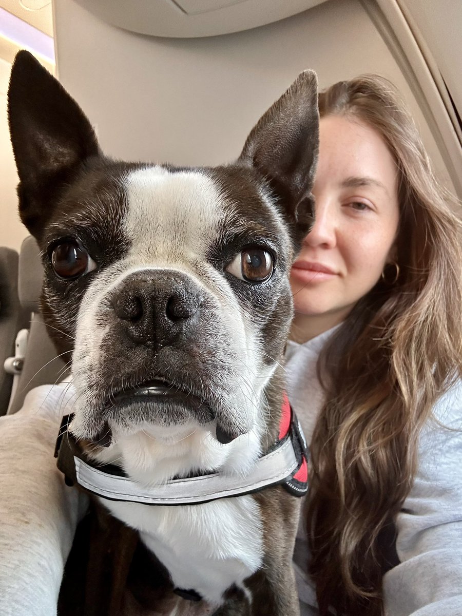 kraytrain🛡️ tweet media