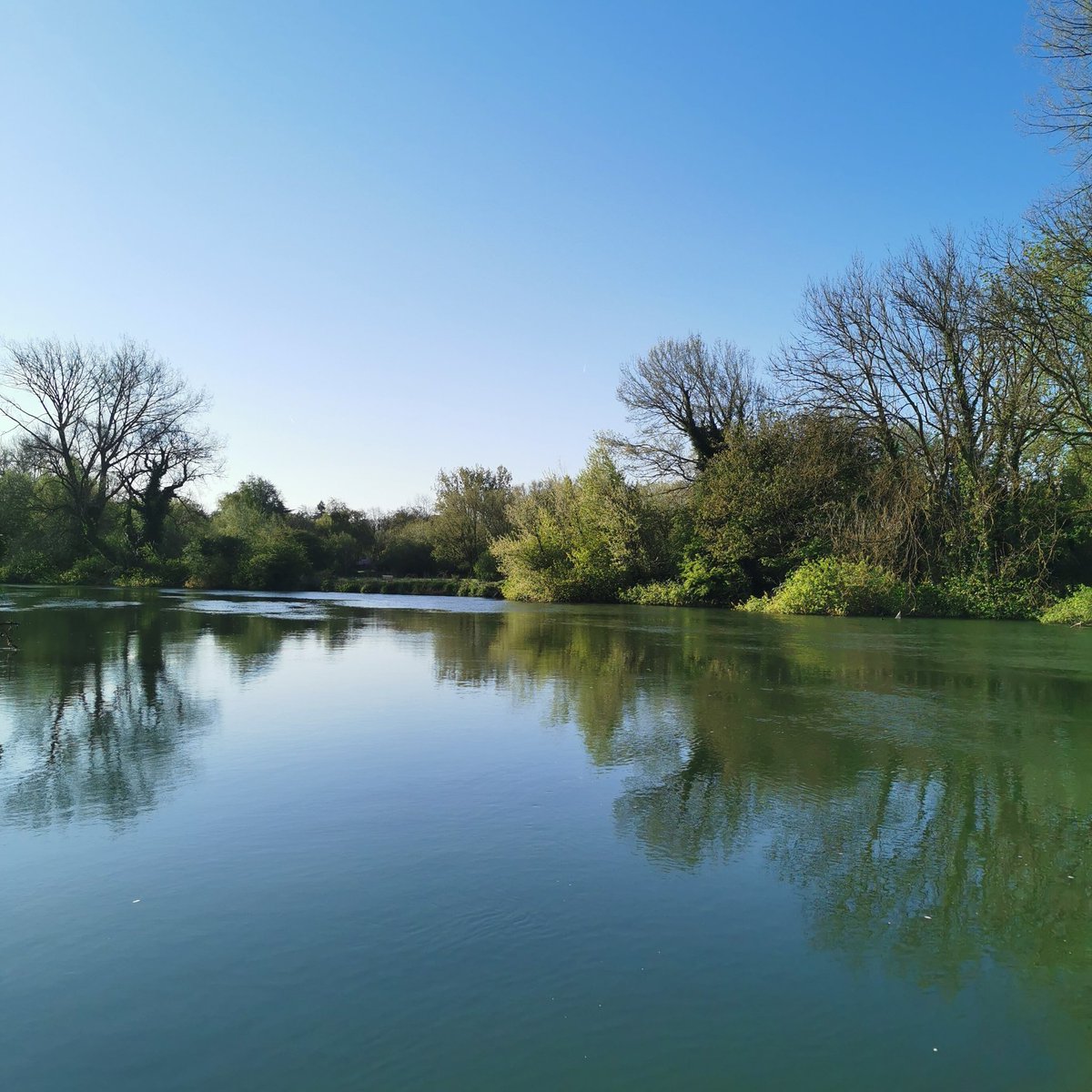Finally moved from our winter mooring after weeks of bad weather. A beautiful sunny morning view from the wheelhouse. Happy weekend to everyone  😎☀️ #Spring #weekend #sunshine #riverthames