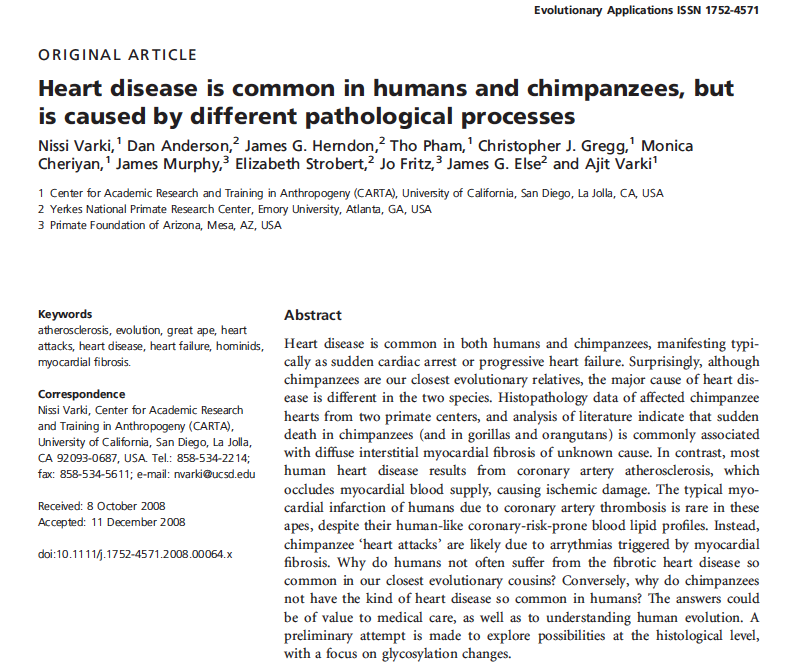 Wild chimps die of violence and parasitic infections. Captive chimps can live 50-60 years. Main cause of death in captive chimp appears to be cardiomyopathy, not atherosclerosis.