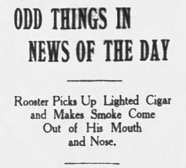 Daily Arkansas Gazette, Little Rock, Arkansas, March 22, 1911