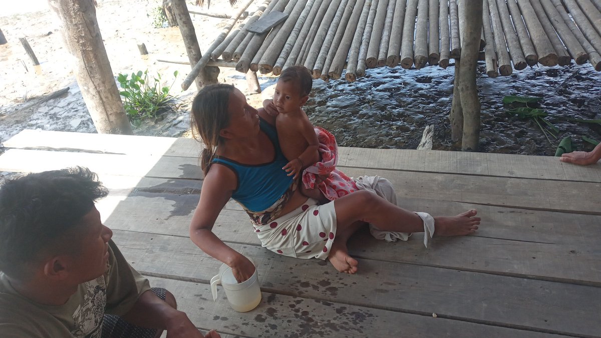 «El dolor de las familias es inmenso» Niños y adultos Warao sufren por la contaminación del agua en el delta del Orinoco. Están mal alimentados y afrontan la emergencia con el uso de medicinas ancestrales En este reportaje @mabelsarmiento describe el impacto de la crisis en