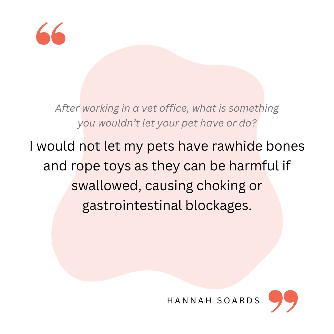 #SaturdaySpotlight Today we shine our spotlight on Hannah Soards from AZPetVet Fletcher Heights