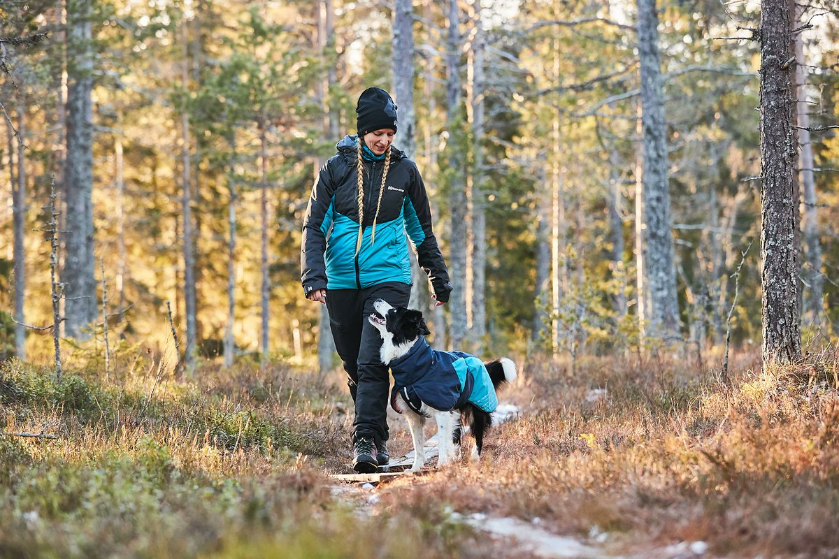 Non-stop dogwear Glacier jacket 2.0 is a comfortable dog jacket insulated with PrimaLoft® Black Insulation Eco. The insulation is lightweight and soft, but still provides your dog with the warmth they need in any weather. 

bit.ly/3Ty2xUv