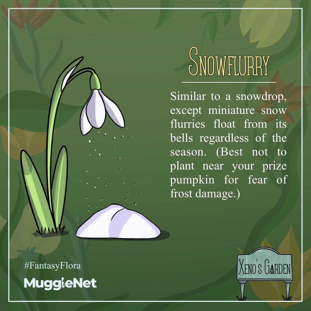 In today's feature of 'Xeno's Garden,' we have the 'Snowflurry.' True to its name, the 'Snowflurry' has tiny snow flurries that drift from its blossoms, no matter the time of year. 🌱 ❄️ #Snowflurry #FantasyFlora