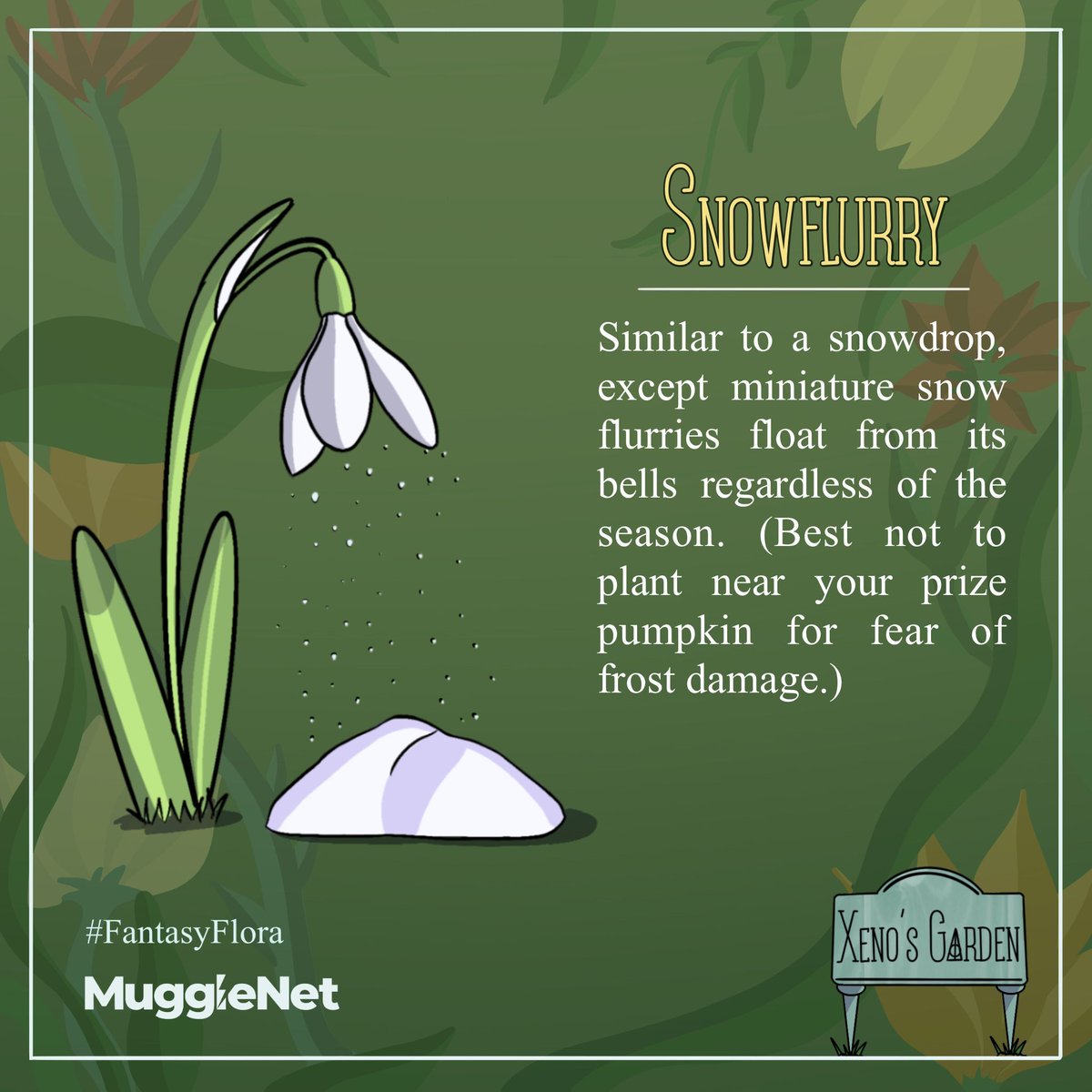 MuggleNet's tweet photo. In today's feature of "Xeno's Garden," we have the "Snowflurry." True to its name, the "Snowflurry" has tiny snow flurries that drift from its blossoms, no matter the time of year. 🌱 ❄️ #Snowflurry #FantasyFlora https://t.co/v5QY7LfSIG
