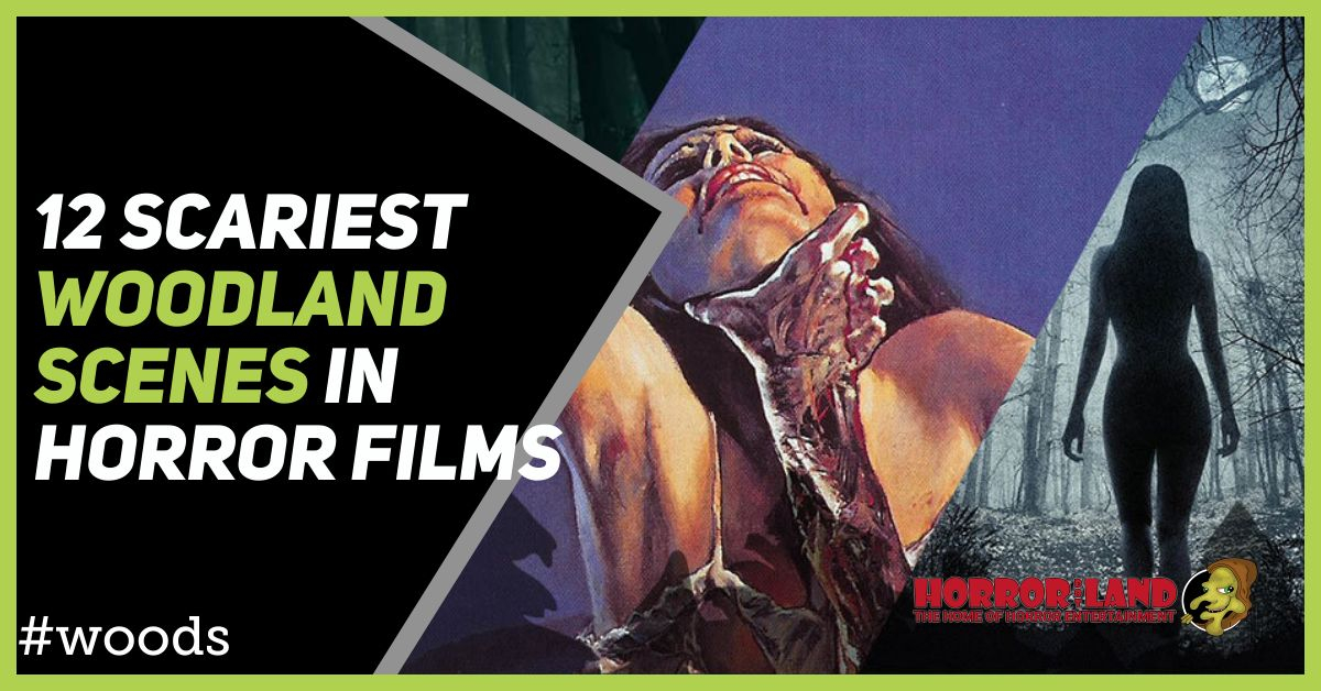 thehorrorland's tweet photo. 12 Scariest Woodland Scenes In Horror Films. Looking at the nightmare of dark twisted woodlands featured in horror. https://t.co/IAKQJd0uIf #horrorclub #horror #horrorarticle #article #woods #forests #woodland https://t.co/vnoiVQBy3P