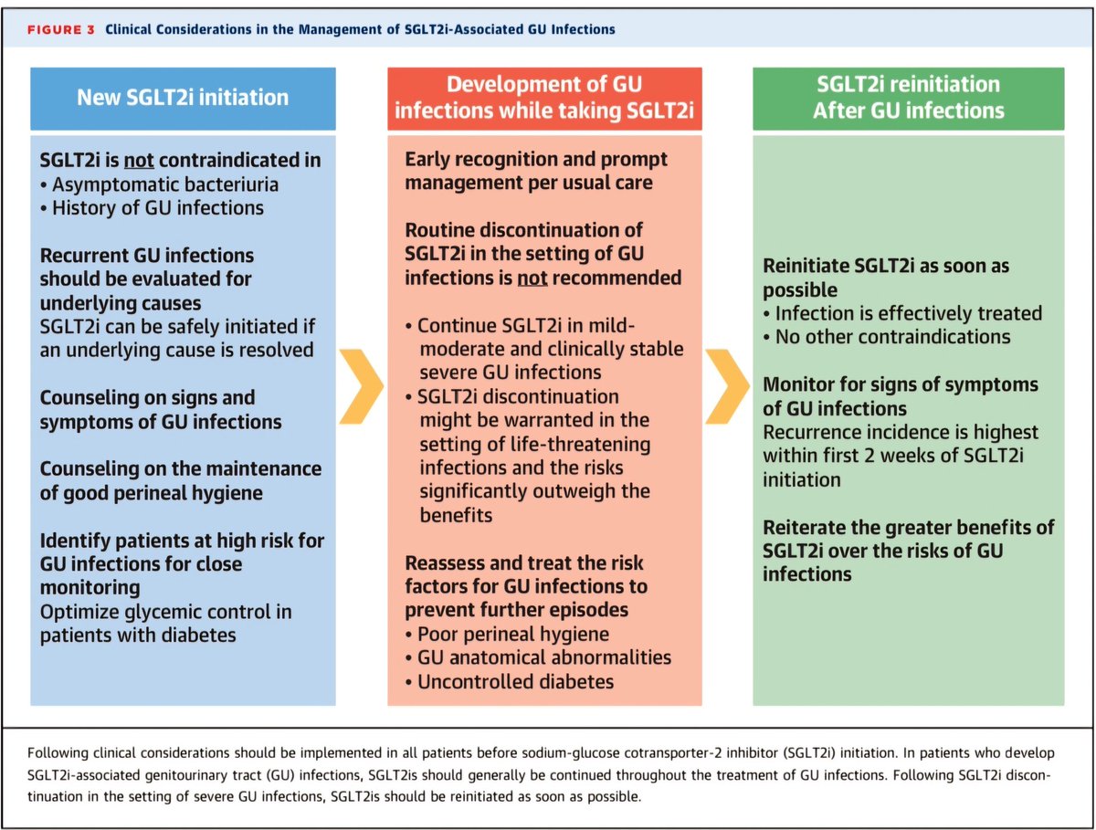 javier20ch's tweet photo. Infecciones del tracto urinario en pacientes que toman iSGLT2. 💊🫀🦠💦
✨️Tópico de la semana @JACCJournals 💯
🔷️Aunque los iSGLT2 pueden aumentar el riesgo de infecciones micóticas (especialmente en mujeres), el riesgo de ITU asociado al uso de iSGLT2 ha sido consistentemente bajo tanto en los ECA como estudios observacionales.
🔷️Se ha demostrado que la retirada de iSGLT2 aumentan los riesgos de resultados adversos en pacientes con insuficiencia cardíaca. Por lo tanto, SE DEBEN CONTINUAR con los iSGLT2 junto con el tratamiento adecuado para las infecciones GU leves a moderadas y se debe minimizar la duración de la interrupción de los iSGLT2 en el contexto de infección grave.

📚⚡️⤵️:
https://t.co/uunh5pMcd4
https://t.co/zdH8KBn5m3