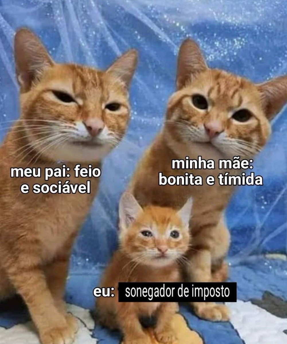 shitpostverdade's tweet photo. https://t.co/vQvV30Go0k
