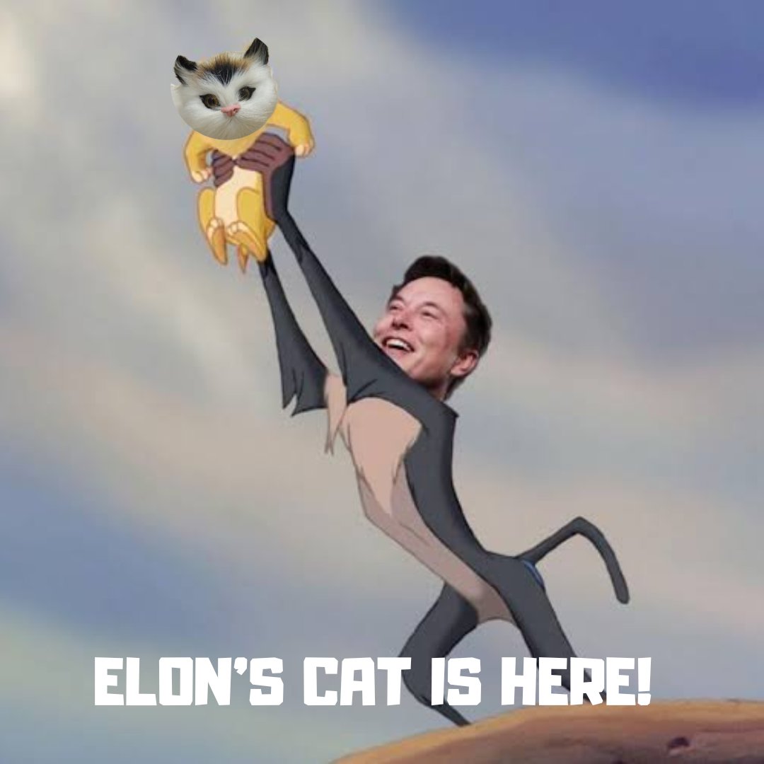 <a href="/Whale_Guru/">Whale.Guru</a> I think $SMIRK ser! We're ready for ATH rn! Sure, We have strong community here @SmirkingCat_SOL